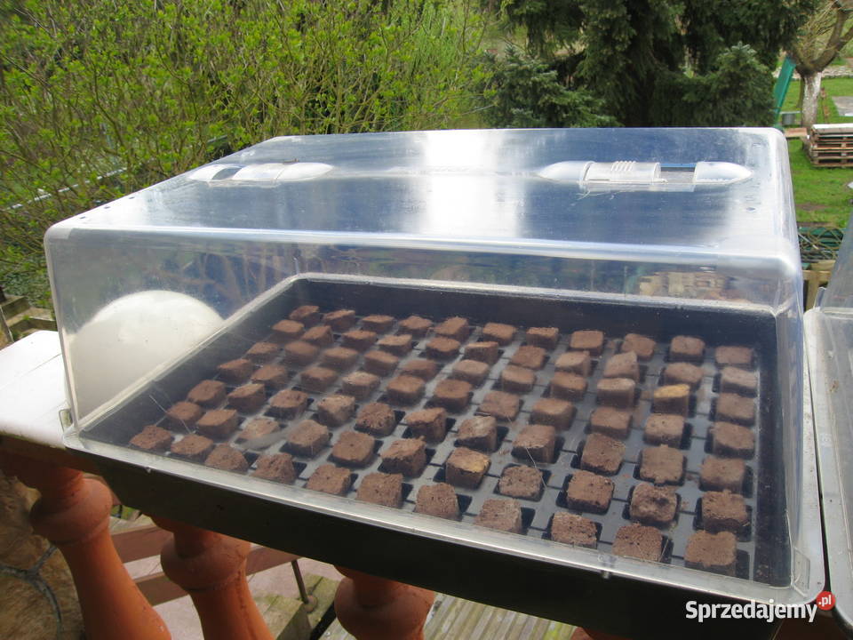 Pojemniki na rozsady zachodniopomorskie