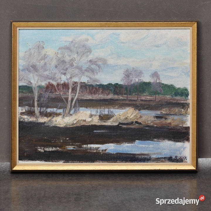 ARTexpert Obraz na płótnie R Bjrk roztopy Dobrzany sprzedam