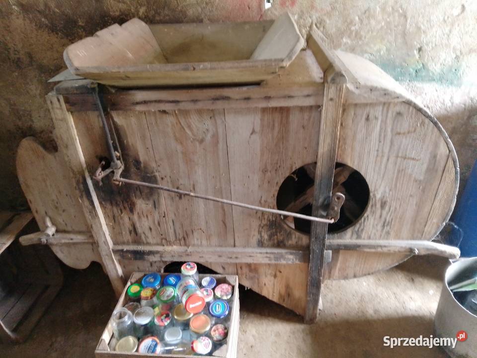 Wialnia starodawna nieuszkodzony