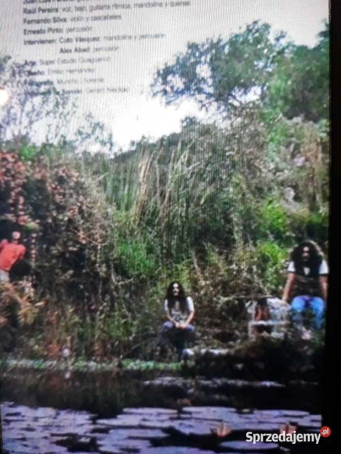 Archiwum psychodelic rocka EL POLEN Fuera de la Rzeszów