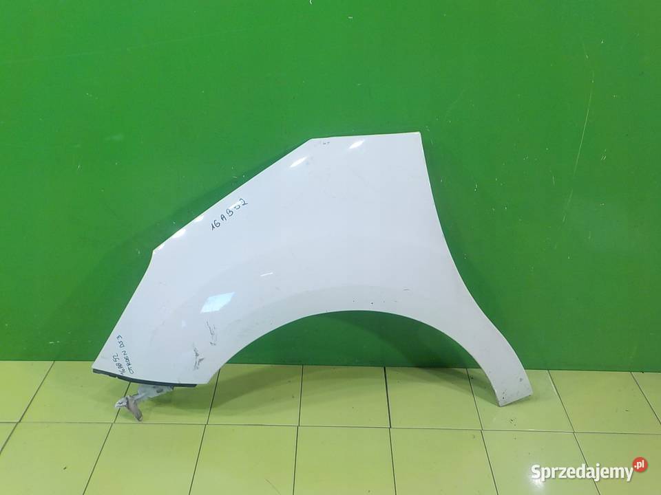 CITROEN DS3 16 VTI 11r HB 3D blotnik lewy przod Suków