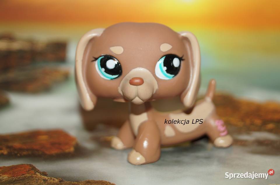 LPS Littlest Pet Shop jamnik 1751 oryginalny pop Rybnik