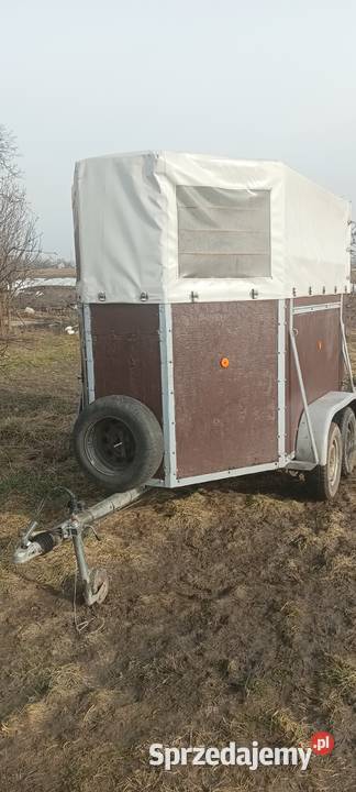 Przyczepka do przewozu koni 2 Boeckman Drobin