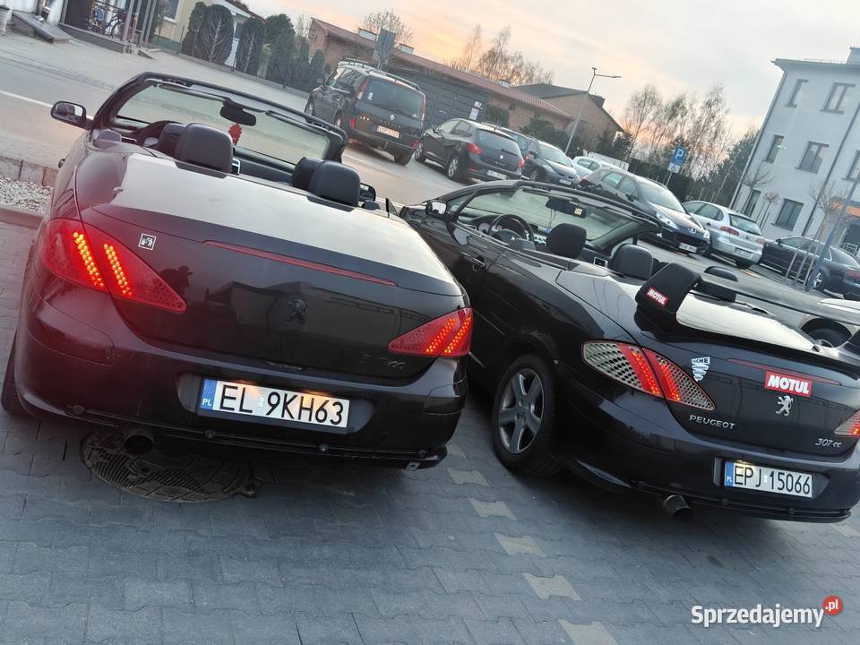 Sprzedam zamienię 307cc Bełchatów