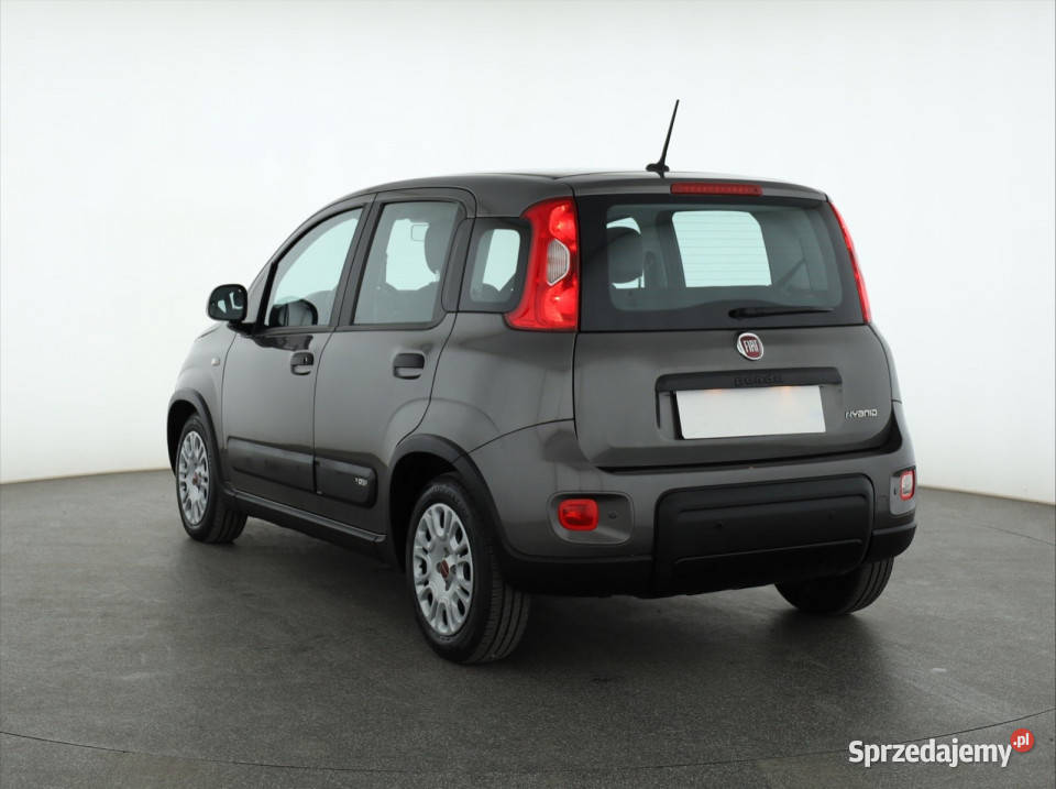 Fiat Panda 10 FireFly