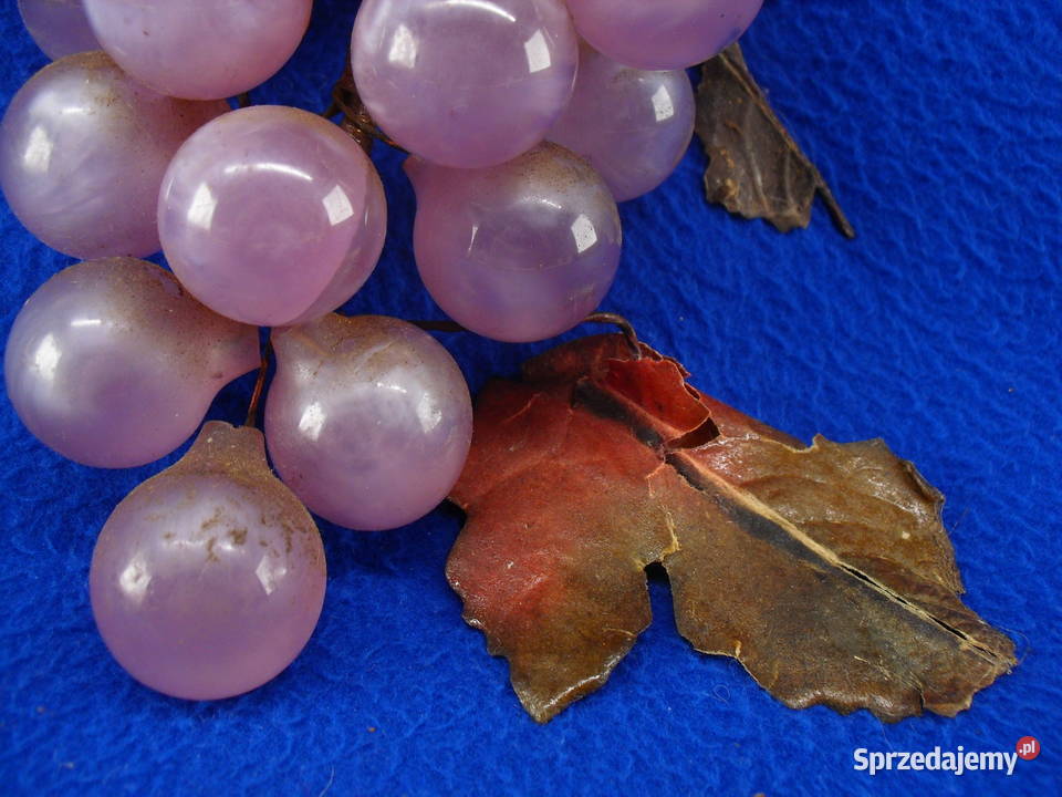 WINOGRONA DO DEKORACJI Bielawa