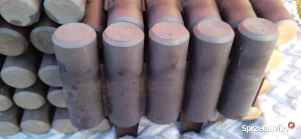 Palisada ogrodowa Jasieniec