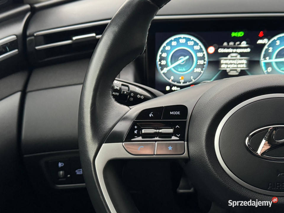 Salon Polska Autoryzowany dealer Executive 4/5 wielkopolskie Kalisz sprzedam