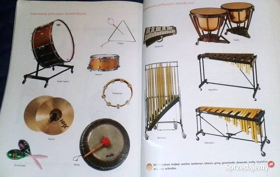 Muzyka Gra muzyka Jan Oleszkowicz lubelskie Chełm