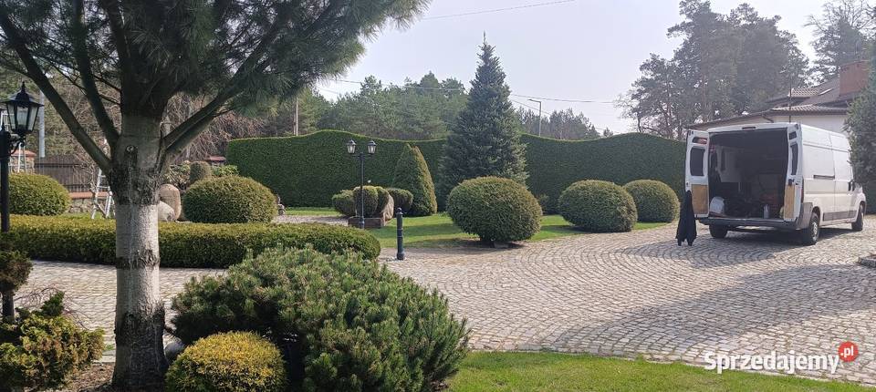 Regeneracja trawników nawodnienia cięcie Montaż systemów nawadniających mazowieckie Wołomin