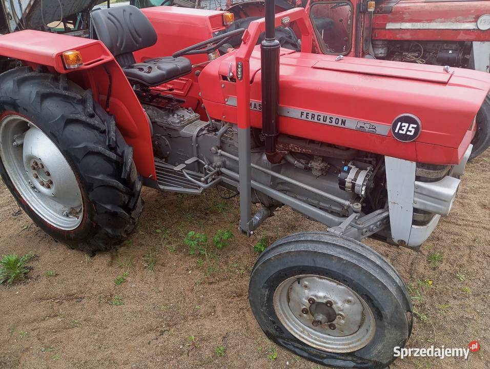 Ciągnik Massey ferguson 135 wielkopolskie Buk