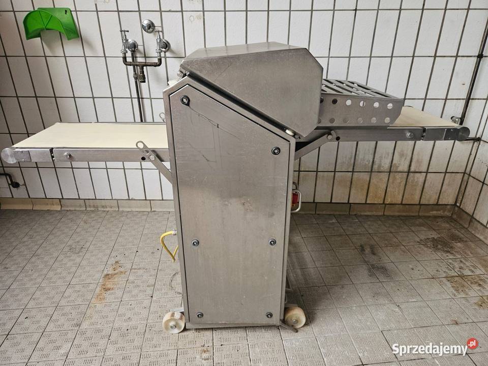 Skórowaczka dwutaśmowa Maja wielkopolskie Krotoszyn