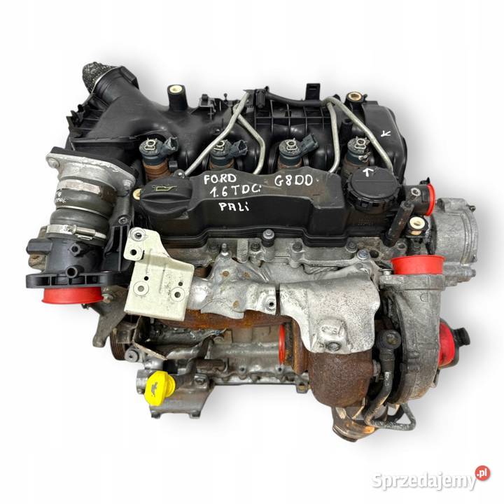 SILNIK KOMPLETNY G8DD Ford Focus II MK2 C C 16 Chełm