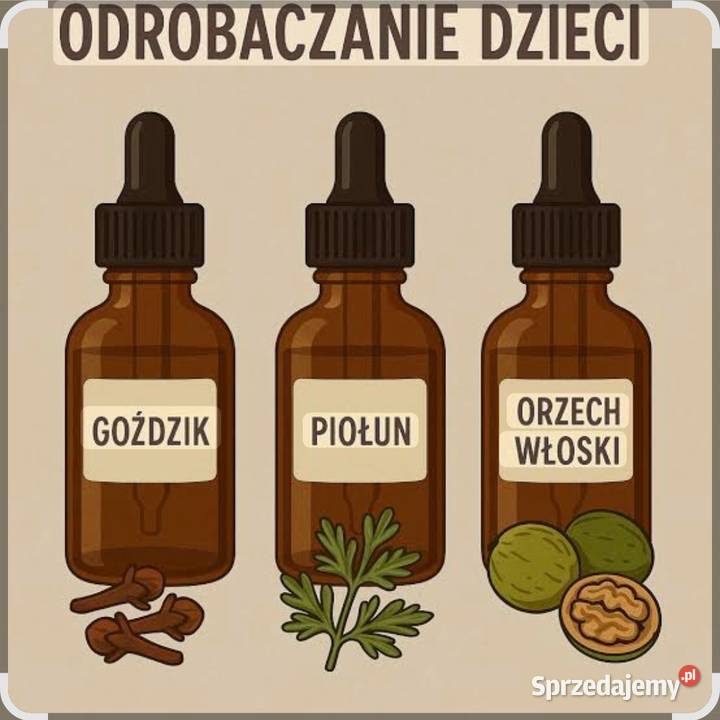 Koncentrat z orzechów piołunu I goździków 100ml śląskie Bielsko-Biała sprzedam