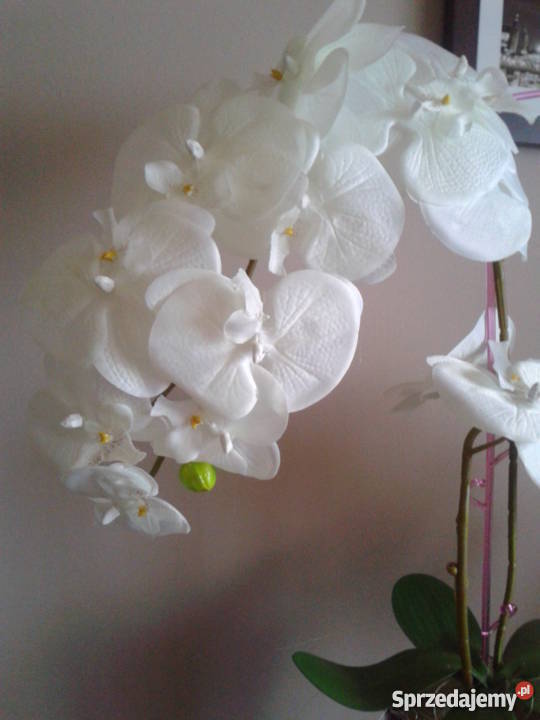 Sztuczny storczyk żywy NOWY 60 sztuczne kwiaty Radomsko sprzedam