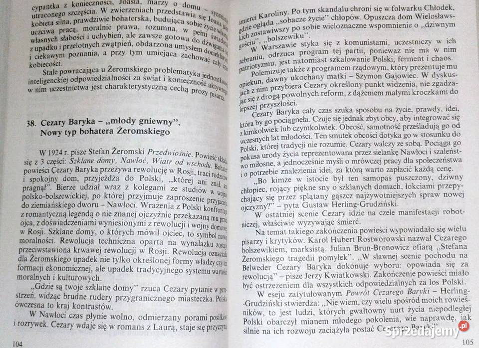 Powtórka do matury z języka polskiego Pytania i