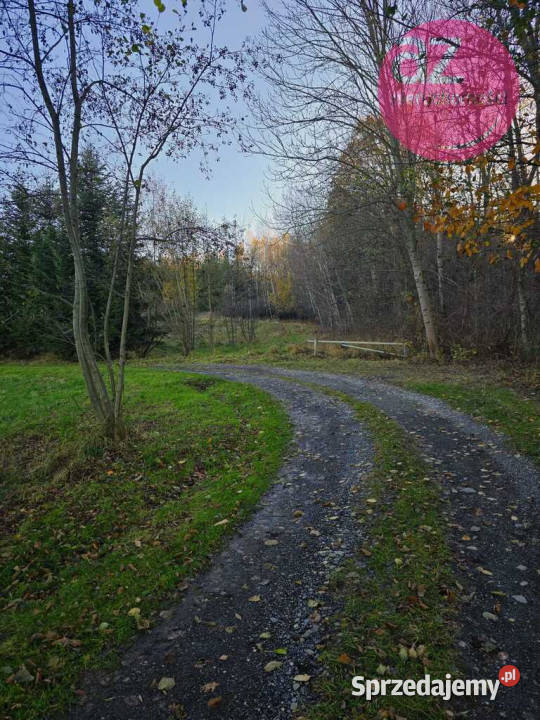 6 działek budowlanych w Stróżówce 24a Stróżówka