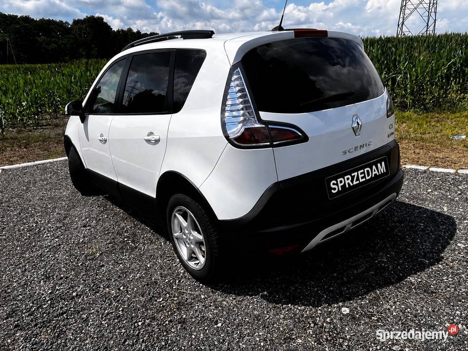 Renault Scenic 12 tce xmod światła do jazdy dziennej Krzyżowice