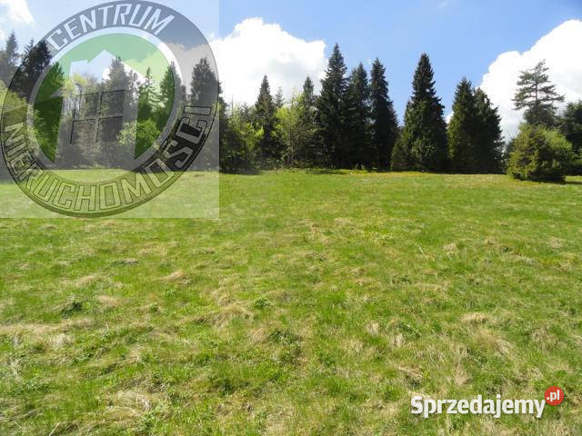 Działka 8400m2 Ochotnica Dolna małopolskie