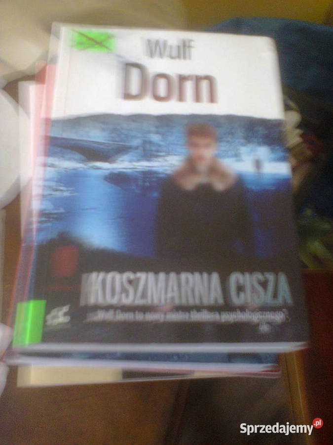 Koszmarna cisza Wulf Dorn Warszawa