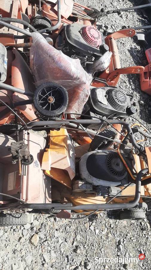 Kosiarka Husqvarna Electrolux Bernard Loisirs Narzędzia ogrodnicze Strzyżów