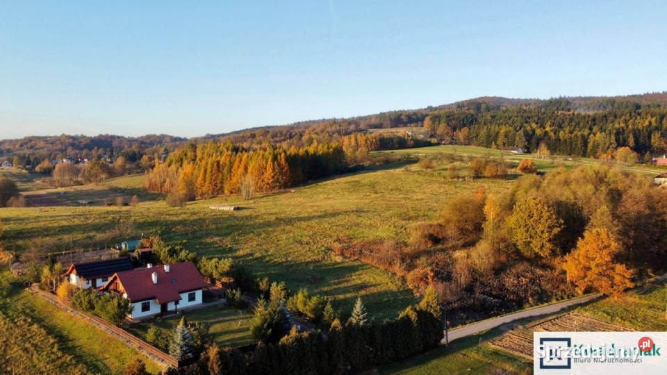 Do sprzedaży grunt 990m2 Odrzykoń