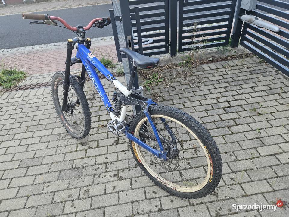 Kona Coiler Blue Star Bolesławiec