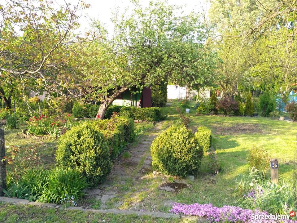 Działka rekreacyjna 522m Będzin Krasickiego ROD 522m2