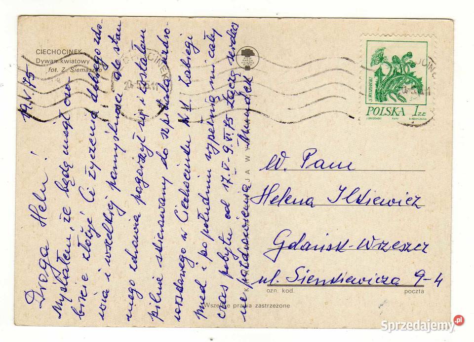 CIECHOCINEK DYWAN KWIATOWY świętokrzyskie Krynki sprzedam