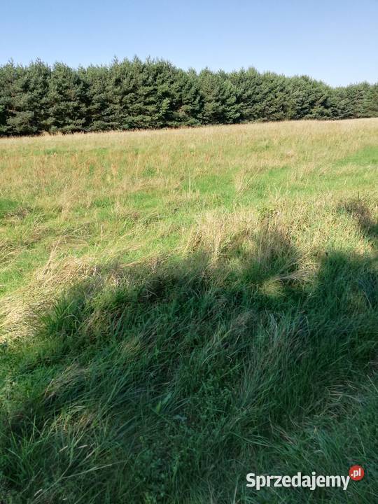 Łąki Pilicą Mogielnica sprzedam