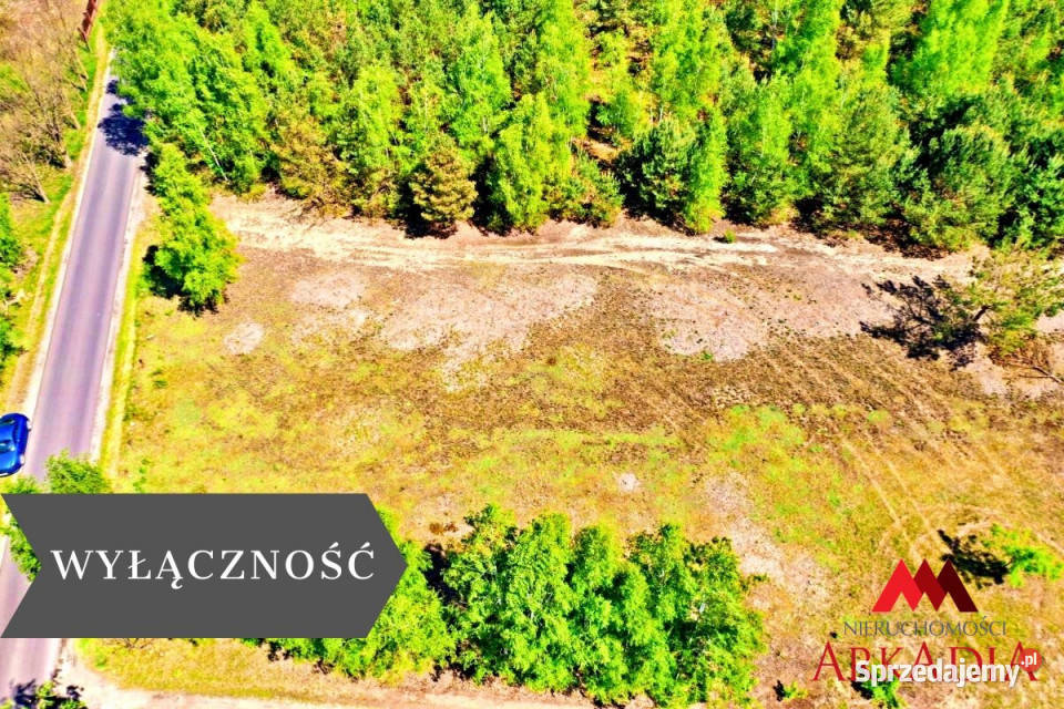 Działka 1042m Kosinowo kujawsko-pomorskie sprzedam