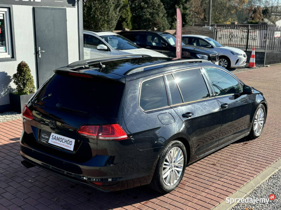 Volkswagen Golf Gwarancja Navi Bluetooth Ksenon tempomat Sade Budy