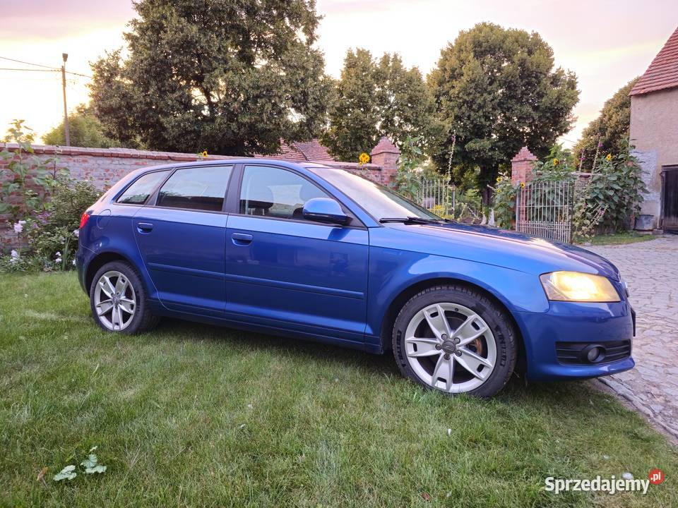 Audi A3 8p 20 TDI dolnośląskie Strzelin