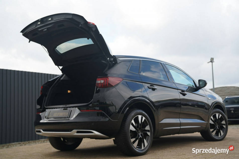 Opel Grandland X FUL LED skóra NAWI kamera blis Otmuchów sprzedam