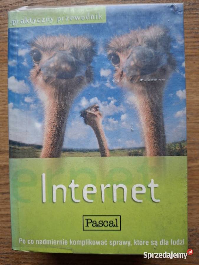 Internet praktyczny przewodnik Pascal małopolskie