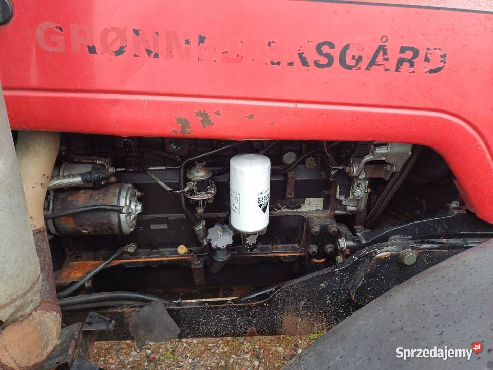 Massey ferguson 6290 Płonne-Plebanka sprzedam