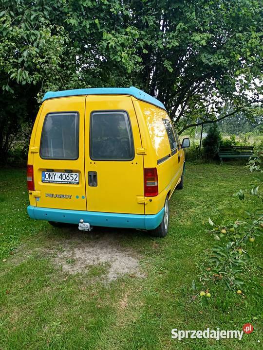 Kamper Burow Alibi Carabian śląskie Mikołów
