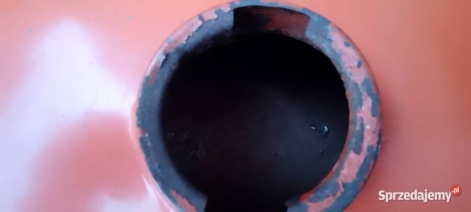 wsk gil lelek pak pik zbiornik wielkopolskie Międzychód