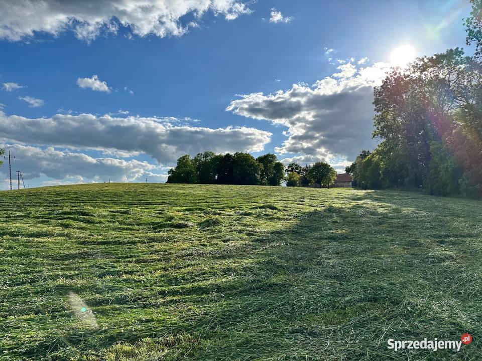 Działka Gołębowo Maniewo Gołaszyn Oborniki z sprzedam