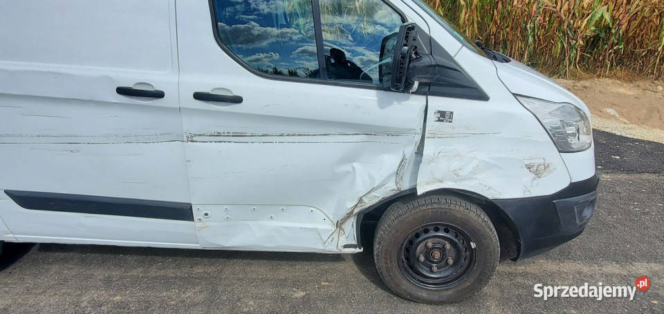 Ford Custom Ford custom Pleszew