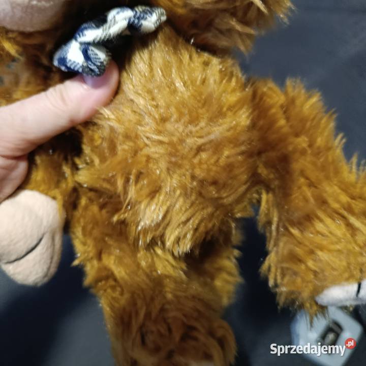 pluszowa zabawka małpka Zabawki Poznań sprzedam