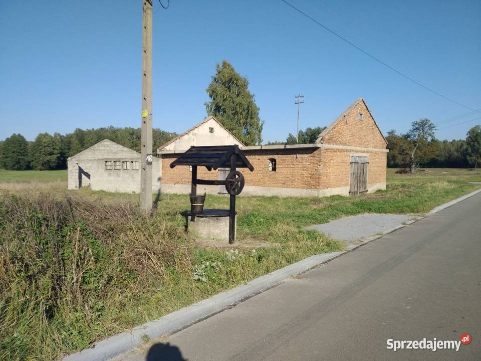 Działka siedlisko Romanów 43zł/m2
