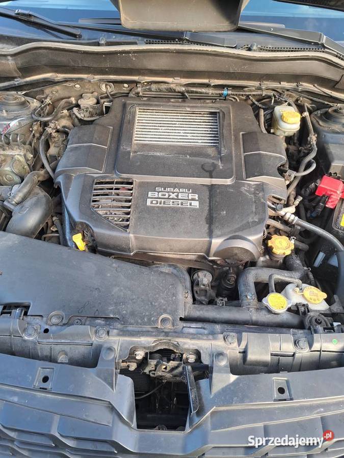 Subaru Forester ASR (kontrola trakcji)