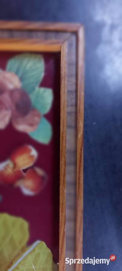 Taca kuchenna szklana Piła