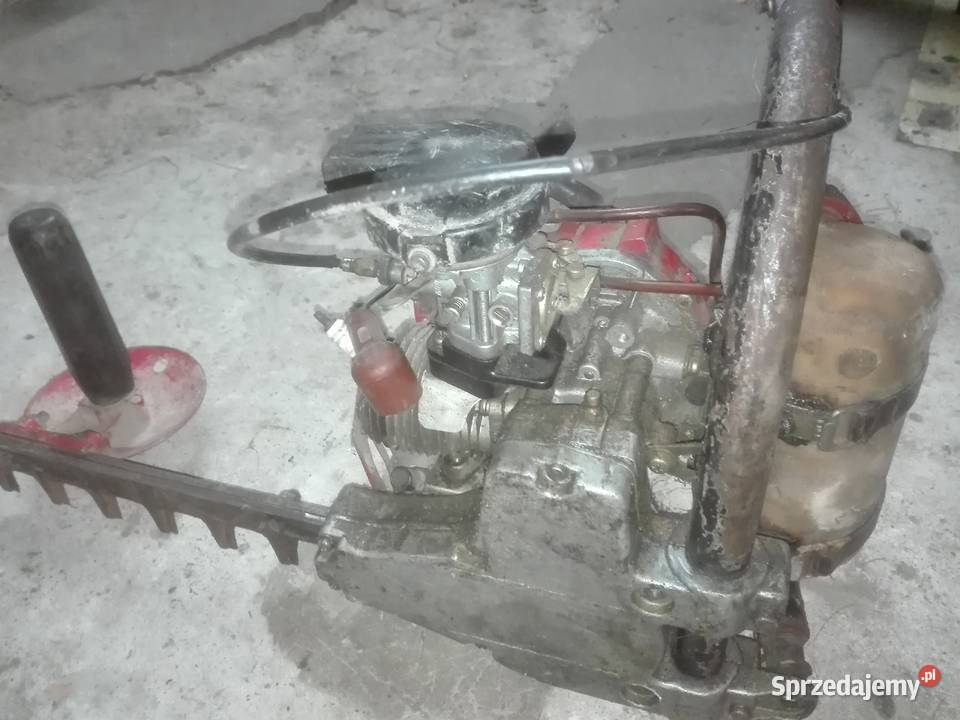 Nożyce do żywopłotu