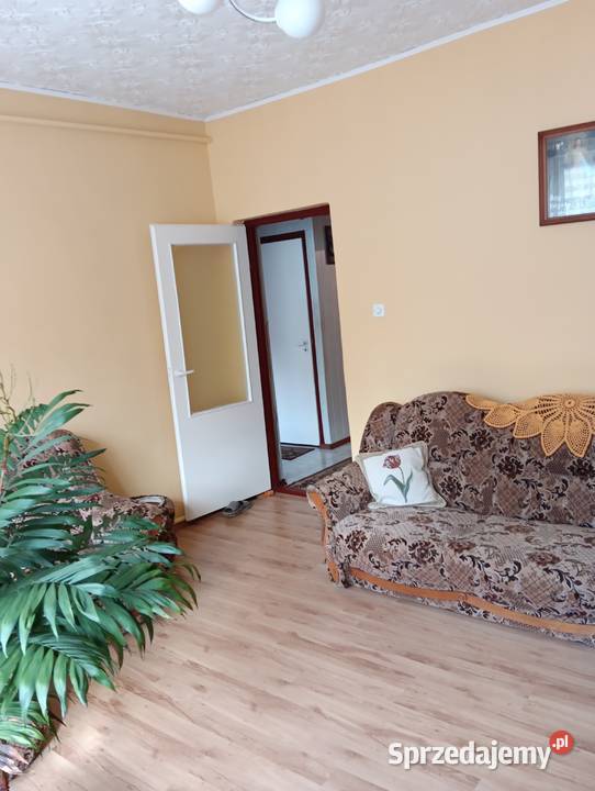 Mieszkanie z ogródkiem garaż Parkoszewo