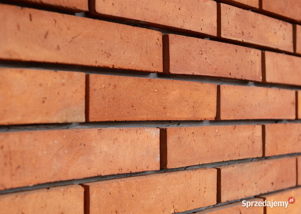 Płytki ceglane Trześń sprzedam