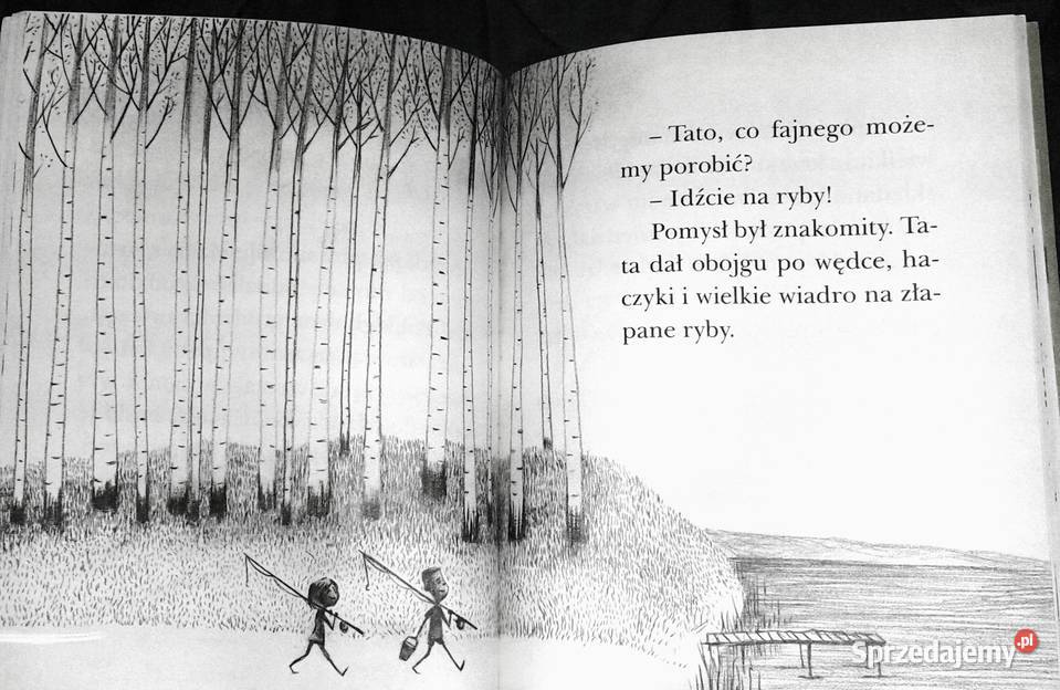 Pułapka na ktosia Ewa Nowak Joanna Rusinek miękka lubelskie Chełm