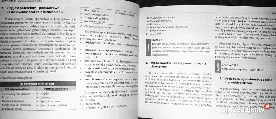 napisać poprawny biznesplan Beata sprzedam