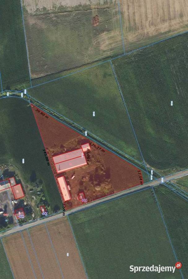 Teren lotnisku CPK mazowieckie Nowy Oryszew